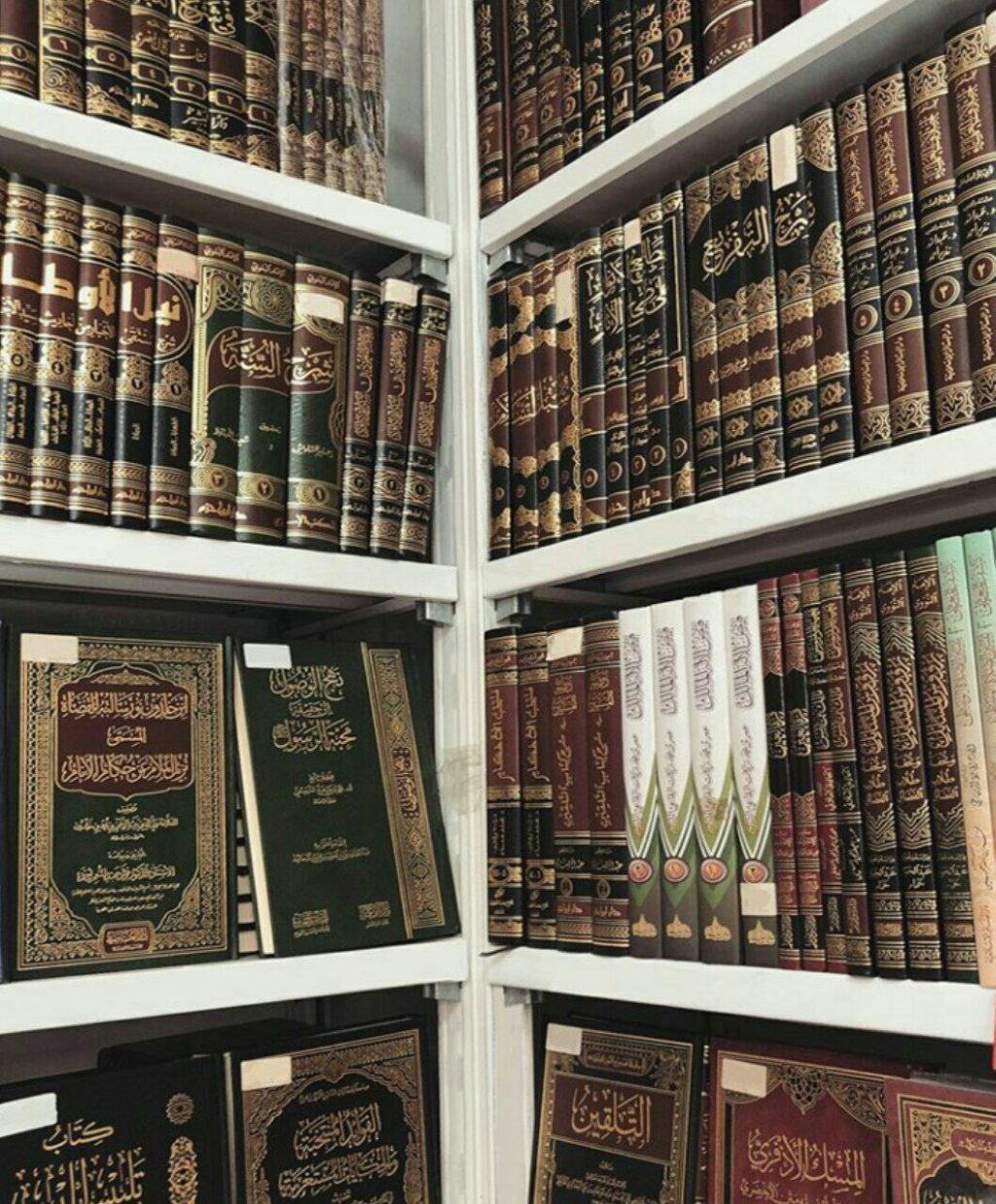 Urgensi Belajar Bahasa Arab